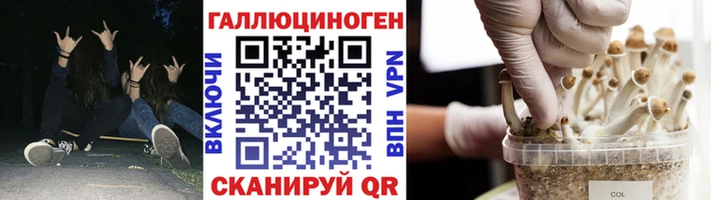 Галлюциногенные грибы Psilocybine cubensis  Купить закладки  Малоярославец 
